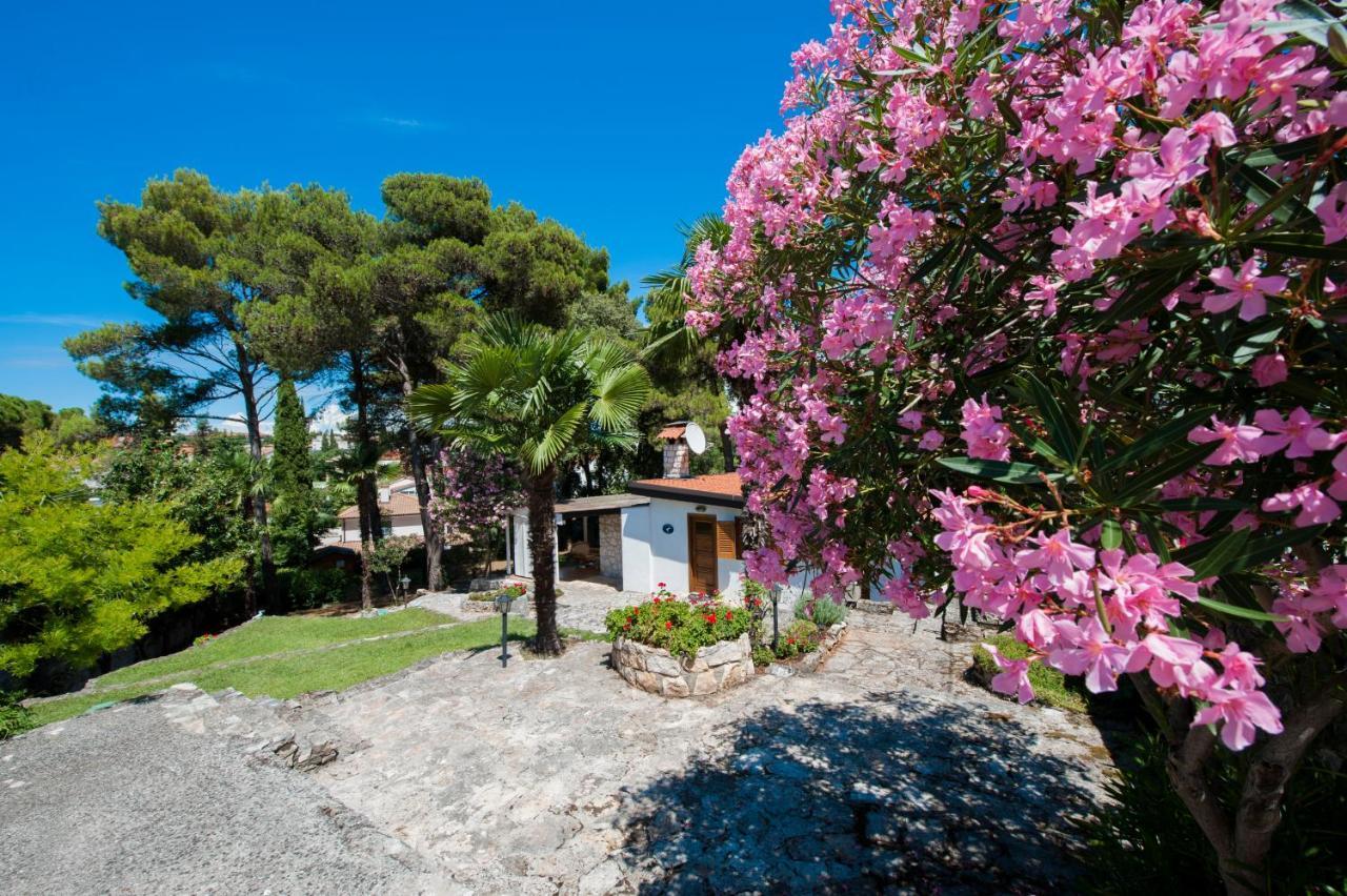 La Scaletta - Private Holiday *